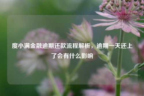 度小满金融逾期还款流程解析，逾期一天还上了会有什么影响