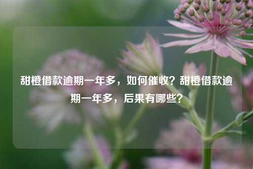 甜橙借款逾期一年多，如何催收？甜橙借款逾期一年多，后果有哪些？