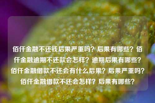 佰仟金融不还钱后果严重吗？后果有哪些？佰仟金融逾期不还款会怎样？逾期后果有哪些？佰仟金融借款不还会有什么后果？后果严重吗？佰仟金融借款不还会怎样？后果有哪些？