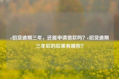 e招贷逾期三年，还能申请借款吗？e招贷逾期三年后的后果有哪些？