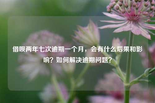 借呗两年七次逾期一个月，会有什么后果和影响？如何解决逾期问题？