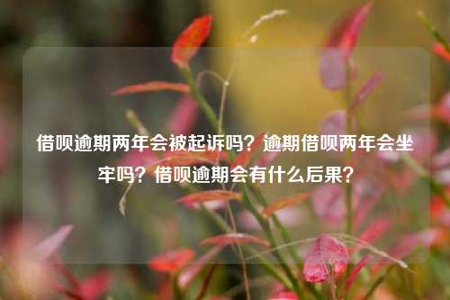 借呗逾期两年会被起诉吗？逾期借呗两年会坐牢吗？借呗逾期会有什么后果？