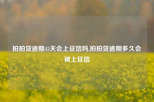 拍拍贷逾期45天会上征信吗,拍拍贷逾期多久会被上征信