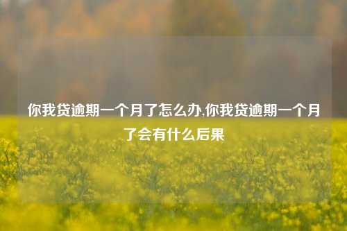 你我贷逾期一个月了怎么办,你我贷逾期一个月了会有什么后果