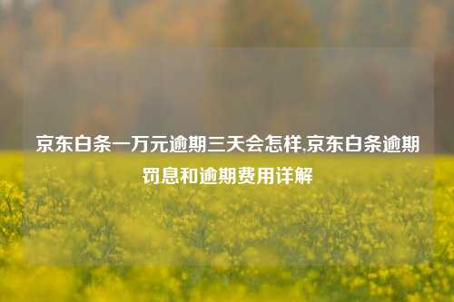 京东白条一万元逾期三天会怎样,京东白条逾期罚息和逾期费用详解