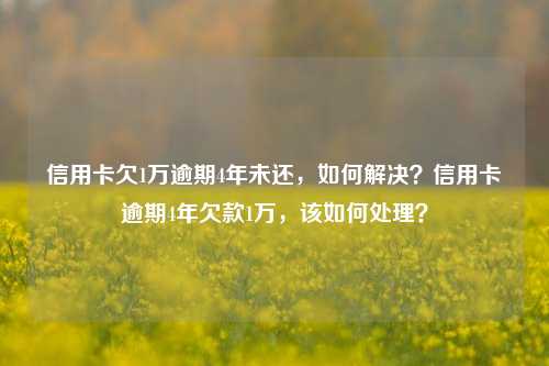 信用卡欠1万逾期4年未还，如何解决？信用卡逾期4年欠款1万，该如何处理？