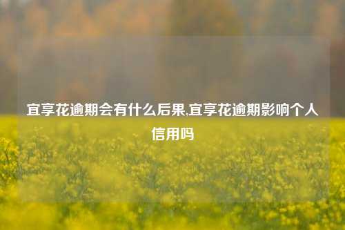 宜享花逾期会有什么后果,宜享花逾期影响个人信用吗