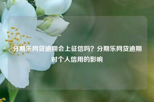 分期乐网贷逾期会上征信吗？分期乐网贷逾期对个人信用的影响