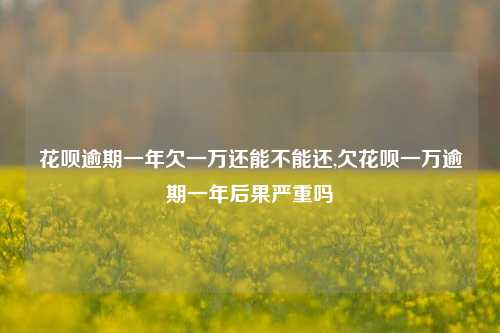 花呗逾期一年欠一万还能不能还,欠花呗一万逾期一年后果严重吗