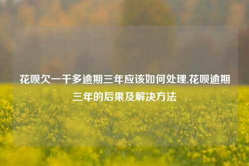 花呗欠一千多逾期三年应该如何处理,花呗逾期三年的后果及解决方法