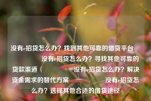 没有e招贷怎么办？找到其他可靠的借贷平台                    没有e招贷怎么办？寻找其他可靠的贷款渠道                    没有e招贷怎么办？解决资金需求的替代方案                    没有e招贷怎么办？选择其他合适的借贷途径