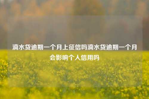 滴水贷逾期一个月上征信吗滴水贷逾期一个月会影响个人信用吗