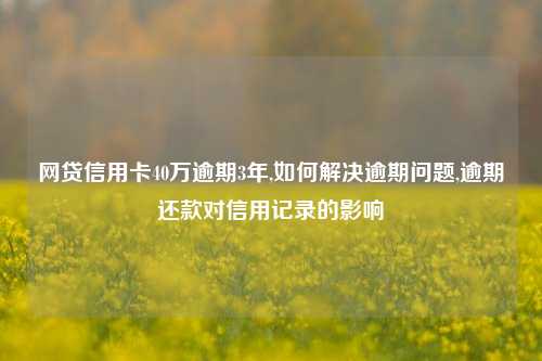 网贷信用卡40万逾期3年,如何解决逾期问题,逾期还款对信用记录的影响