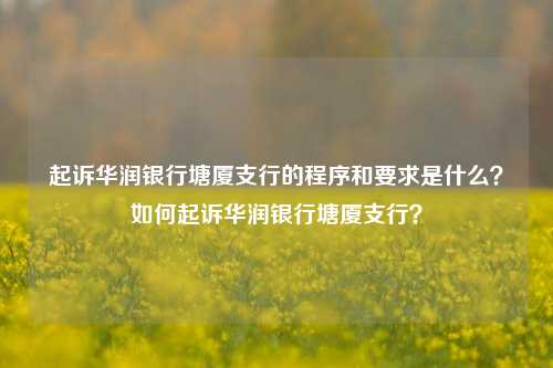 起诉华润银行塘厦支行的程序和要求是什么？如何起诉华润银行塘厦支行？