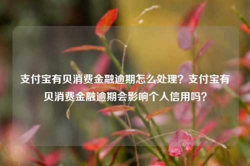 支付宝有贝消费金融逾期怎么处理？支付宝有贝消费金融逾期会影响个人信用吗？