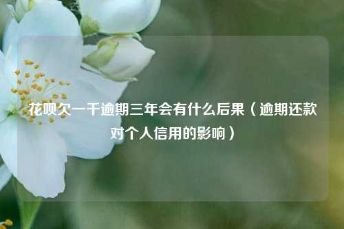 花呗欠一千逾期三年会有什么后果（逾期还款对个人信用的影响）