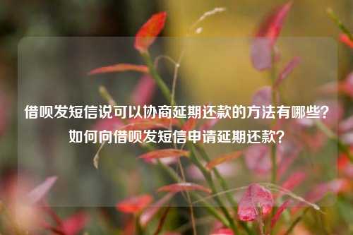 借呗发短信说可以协商延期还款的方法有哪些？如何向借呗发短信申请延期还款？