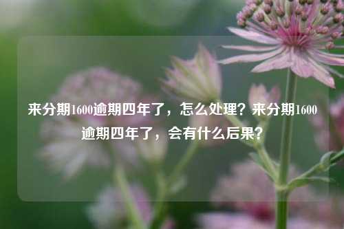 来分期1600逾期四年了，怎么处理？来分期1600逾期四年了，会有什么后果？