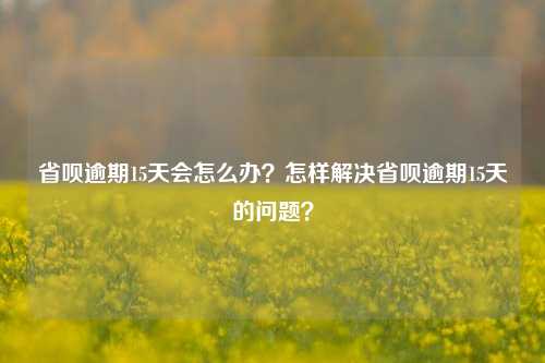 省呗逾期15天会怎么办？怎样解决省呗逾期15天的问题？