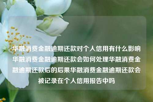 华融消费金融逾期还款对个人信用有什么影响华融消费金融逾期还款会如何处理华融消费金融逾期还款后的后果华融消费金融逾期还款会被记录在个人信用报告中吗