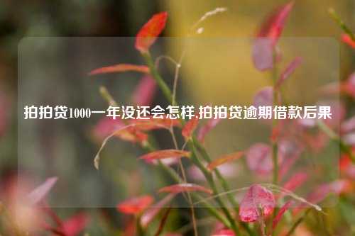 拍拍贷1000一年没还会怎样,拍拍贷逾期借款后果