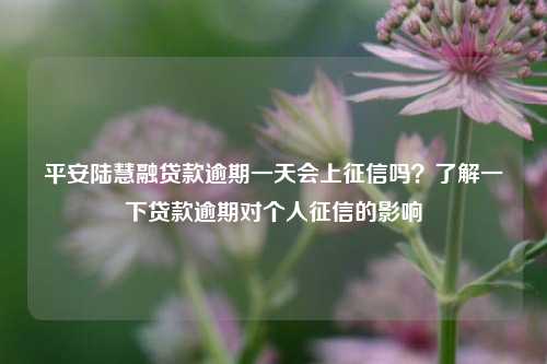 平安陆慧融贷款逾期一天会上征信吗？了解一下贷款逾期对个人征信的影响