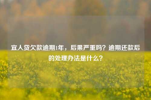 宜人贷欠款逾期1年，后果严重吗？逾期还款后的处理办法是什么？